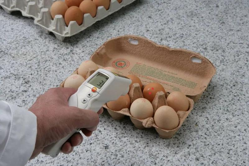 Termometro infrarossi testo 831 ottica 30:1 doppio laser settore alimentare